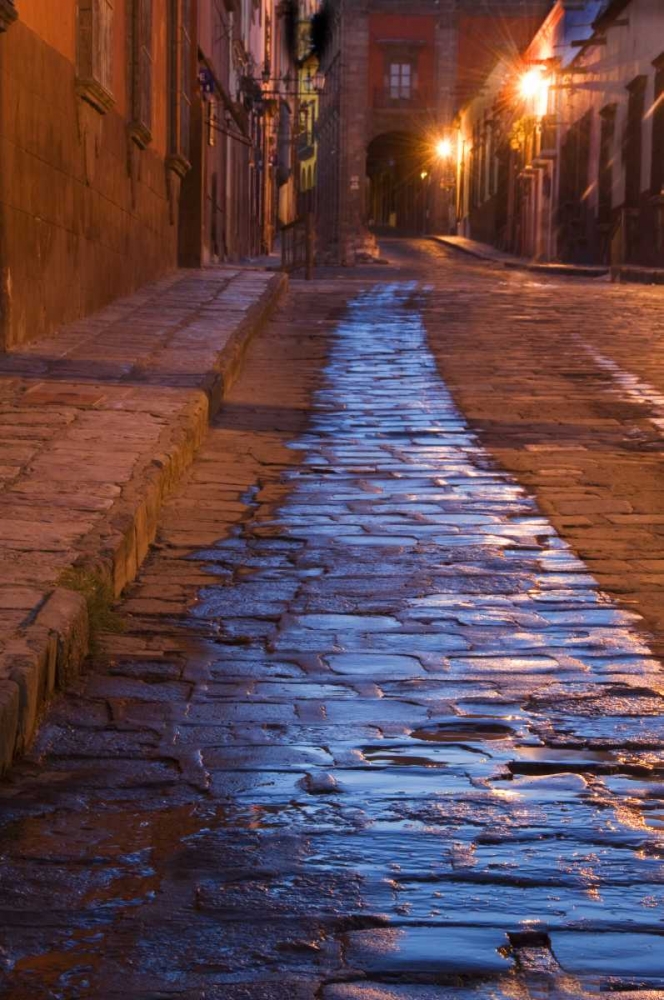 Mexico Streak of water on cobblestone street